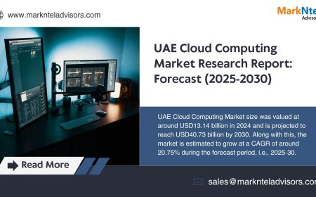 UAE Cloud Computing Market Key Players, Trends and Projections 2030