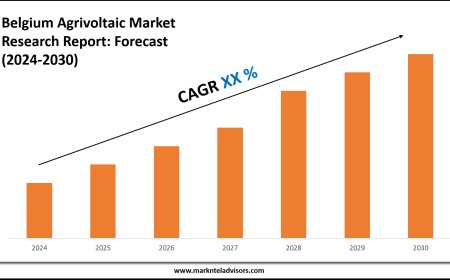 Belgium Agrivoltaic Market Size, Share and Competitive Insight Report 2030