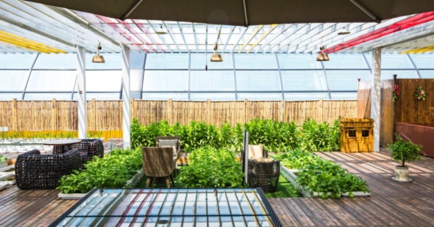 Upgrade Your Outdoor Space with a Lattice Patio Cover
