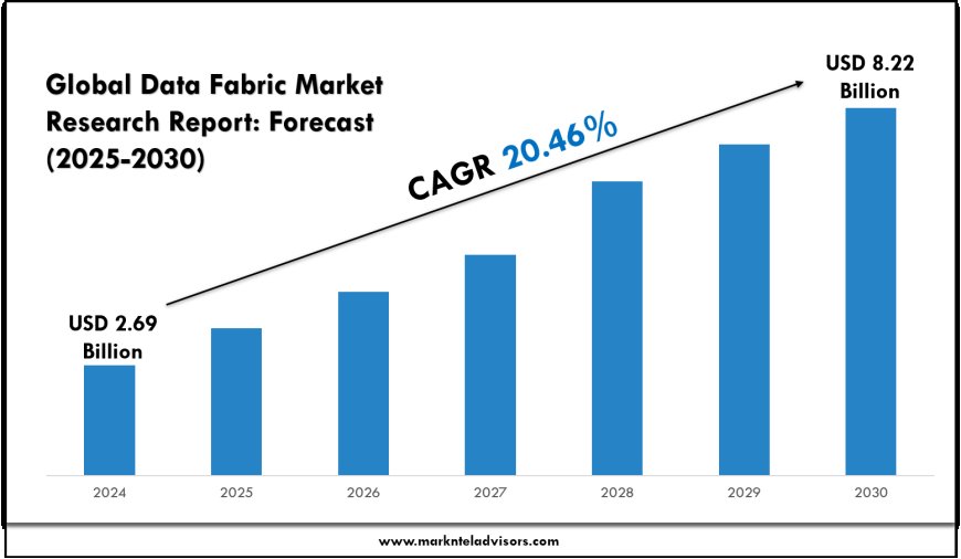 Data Fabric Market Opportunities & Segment Outlook