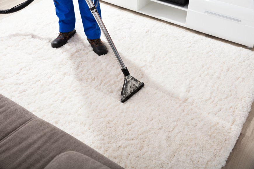 Carpet Cleaning Services Near Me