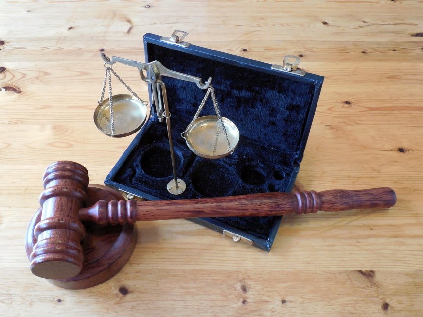 Patent Examiner: Role, Responsibilities, and Insights Into the Patent Review Process