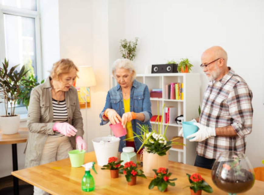 Making the Home Environment Senior-Friendly