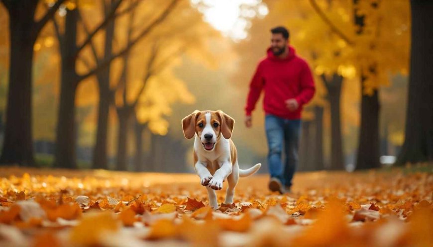 How Does a Smart Pet Mom Balance Work, Family, and Pet Responsibilities Effectively?