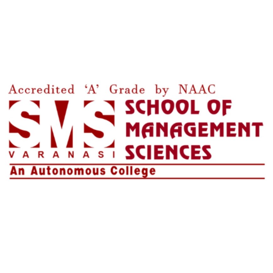 Executive MBA vs Regular MBA: Best for Career Switchers?