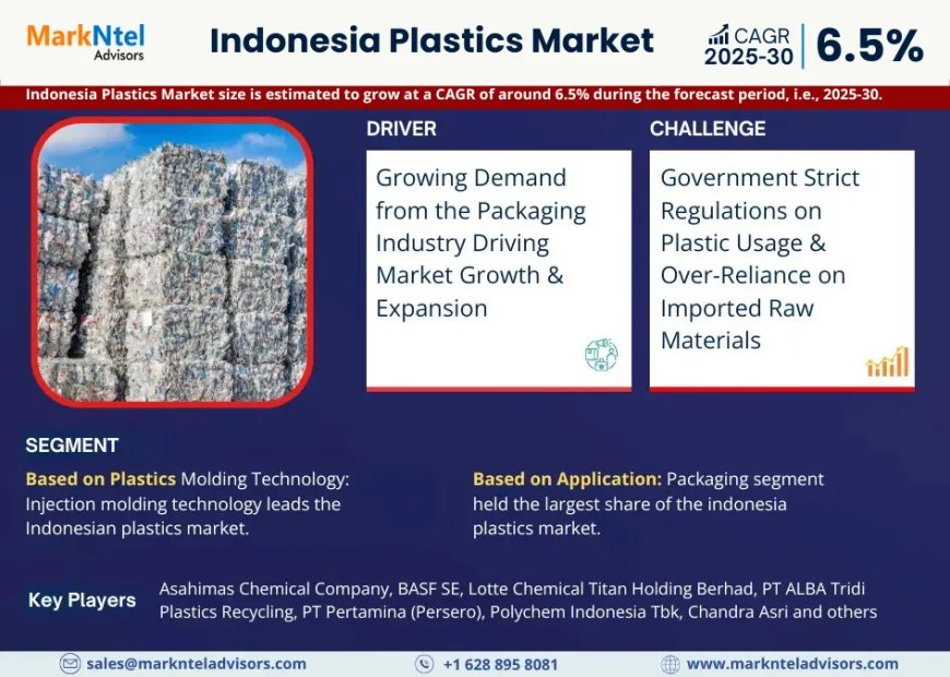 Indonesia Plastics Market Poised for Strong 6.5% CAGR Through 2030 | Size & Opportunity Insights