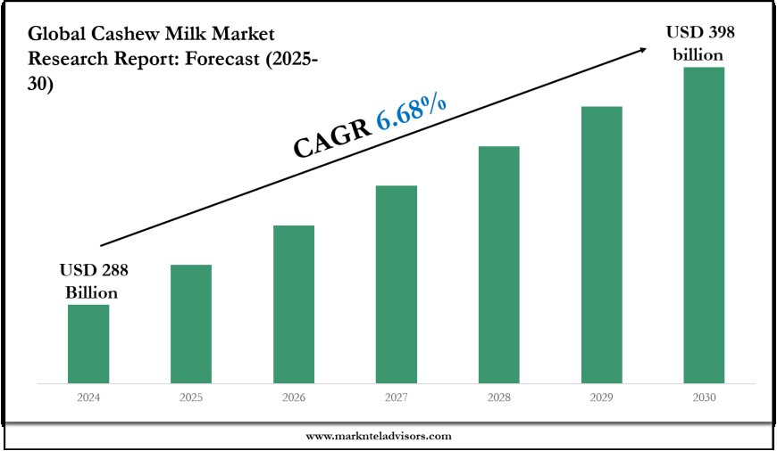 Forecasting the Cashew Milk Market: Key Metrics & Industry Overview