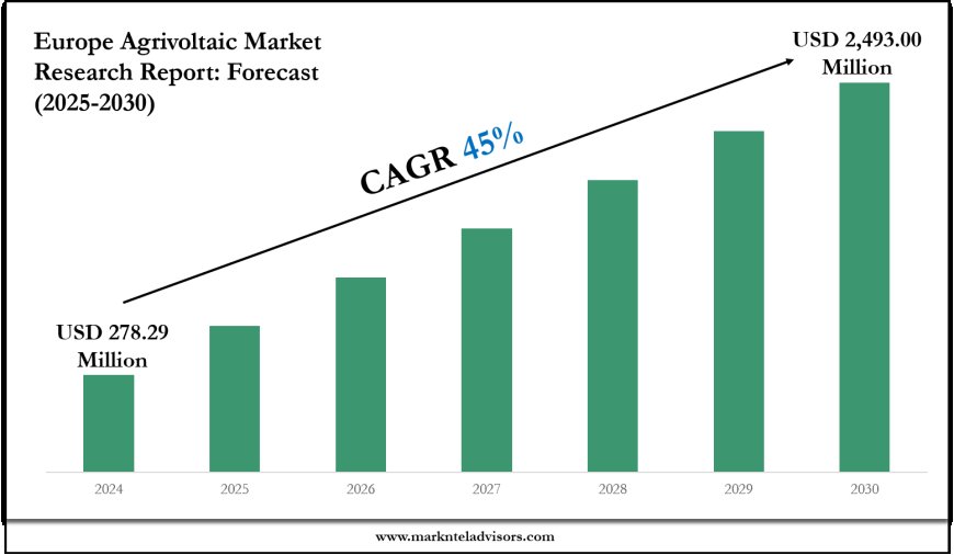 2025–2030 Europe Agrivoltaic Market Landscape: Growth, Share & Opportunities