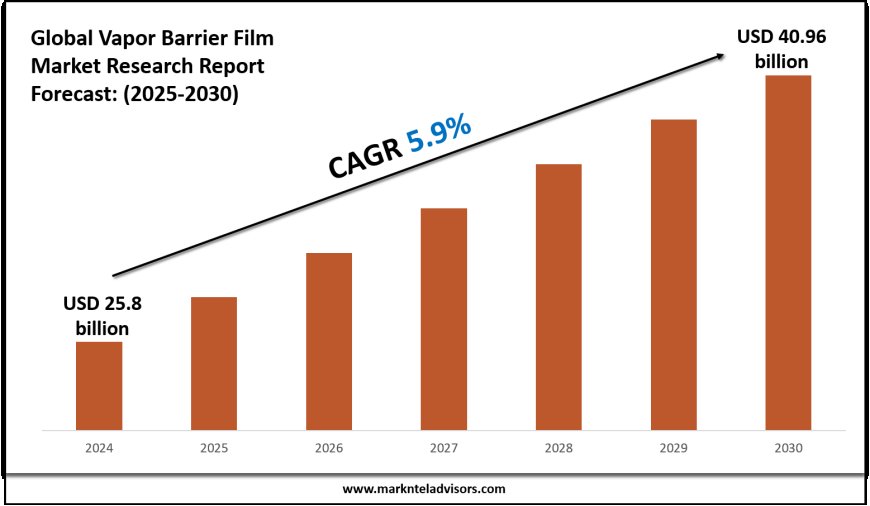 Vapor Barrier Film Market Report 2025–2030: Demand, Value & Share Outlook