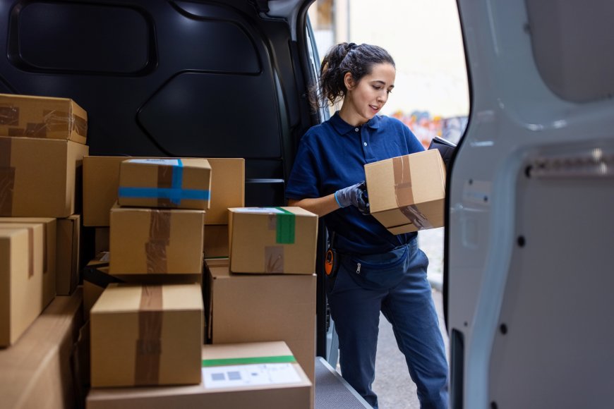 Affordable Domestic Courier Services: What You Need to Know
