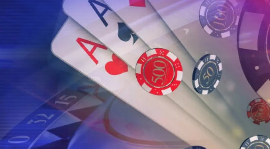 Playexch – India’s Premier Platform for Live Sports and Casino Gaming