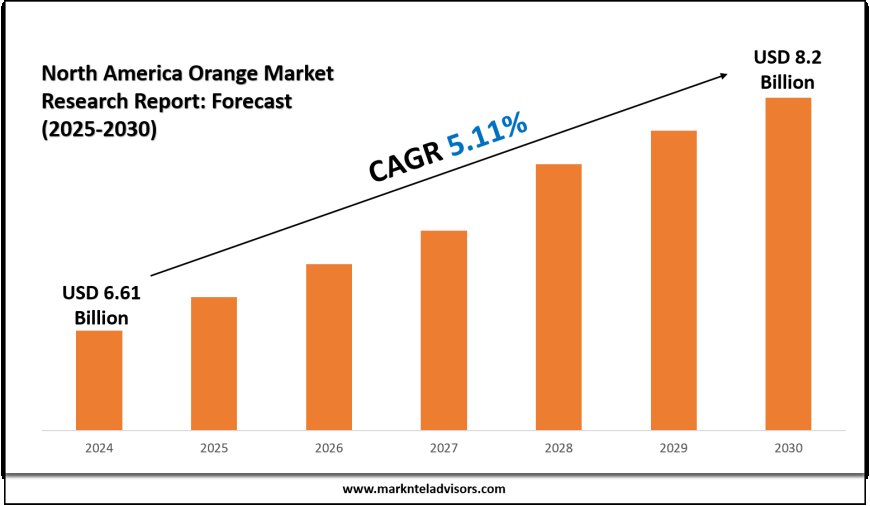 North America Orange Sector Set for USD 8.2 Billion Expansion by 2030