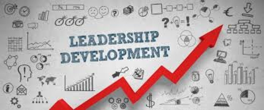 Leadership Development: Building Strong Leaders for a Complex World