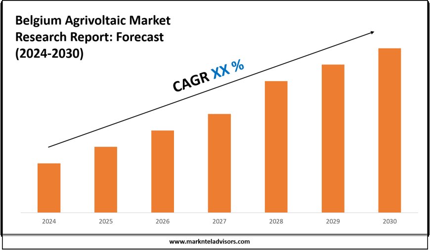 Belgium Agrivoltaic Market Size, Share and Competitive Insight Report 2030